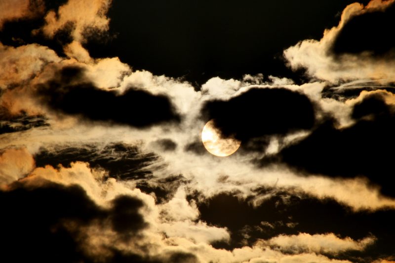 River Reflection
