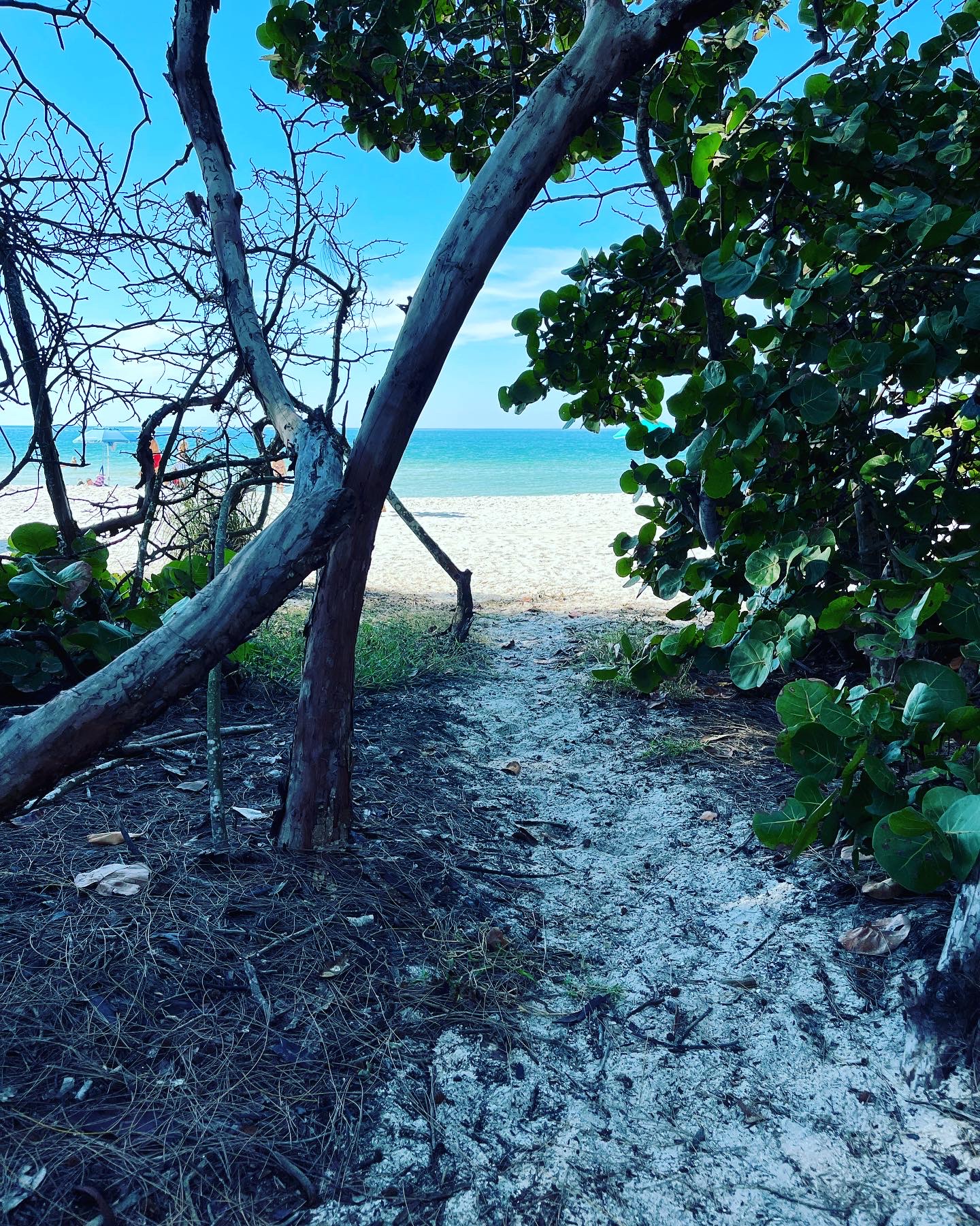 Naples beach
