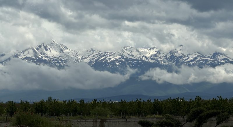 Landscape
