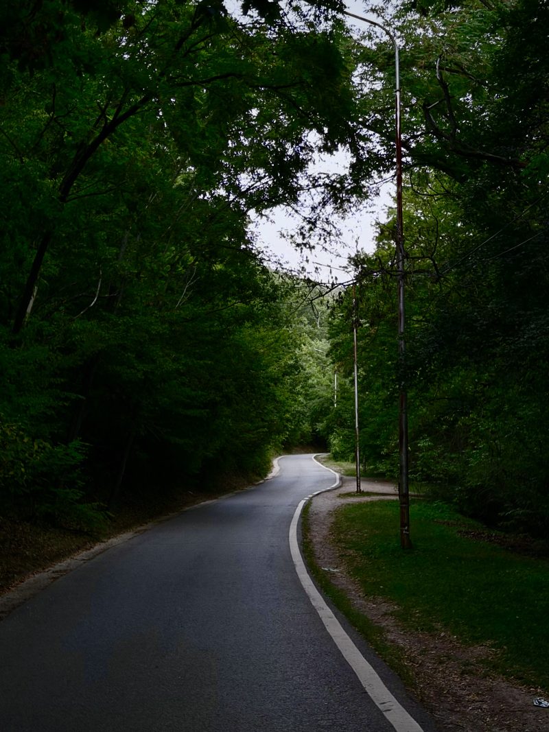 Park