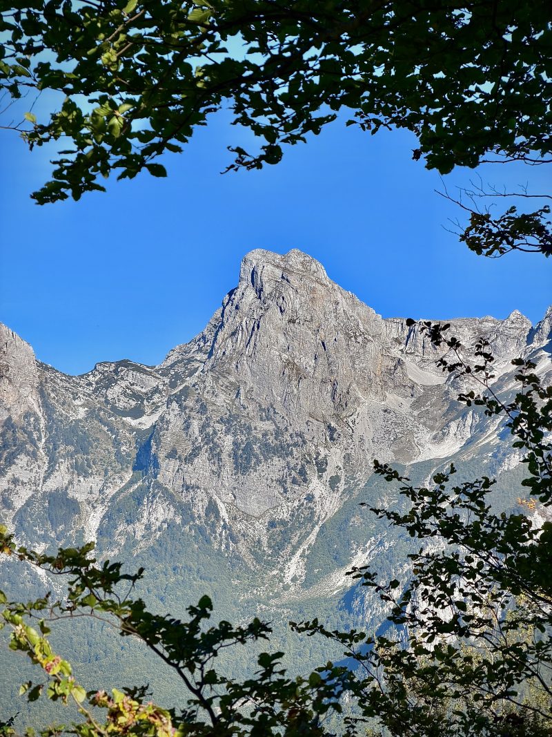 Alpine Mountains