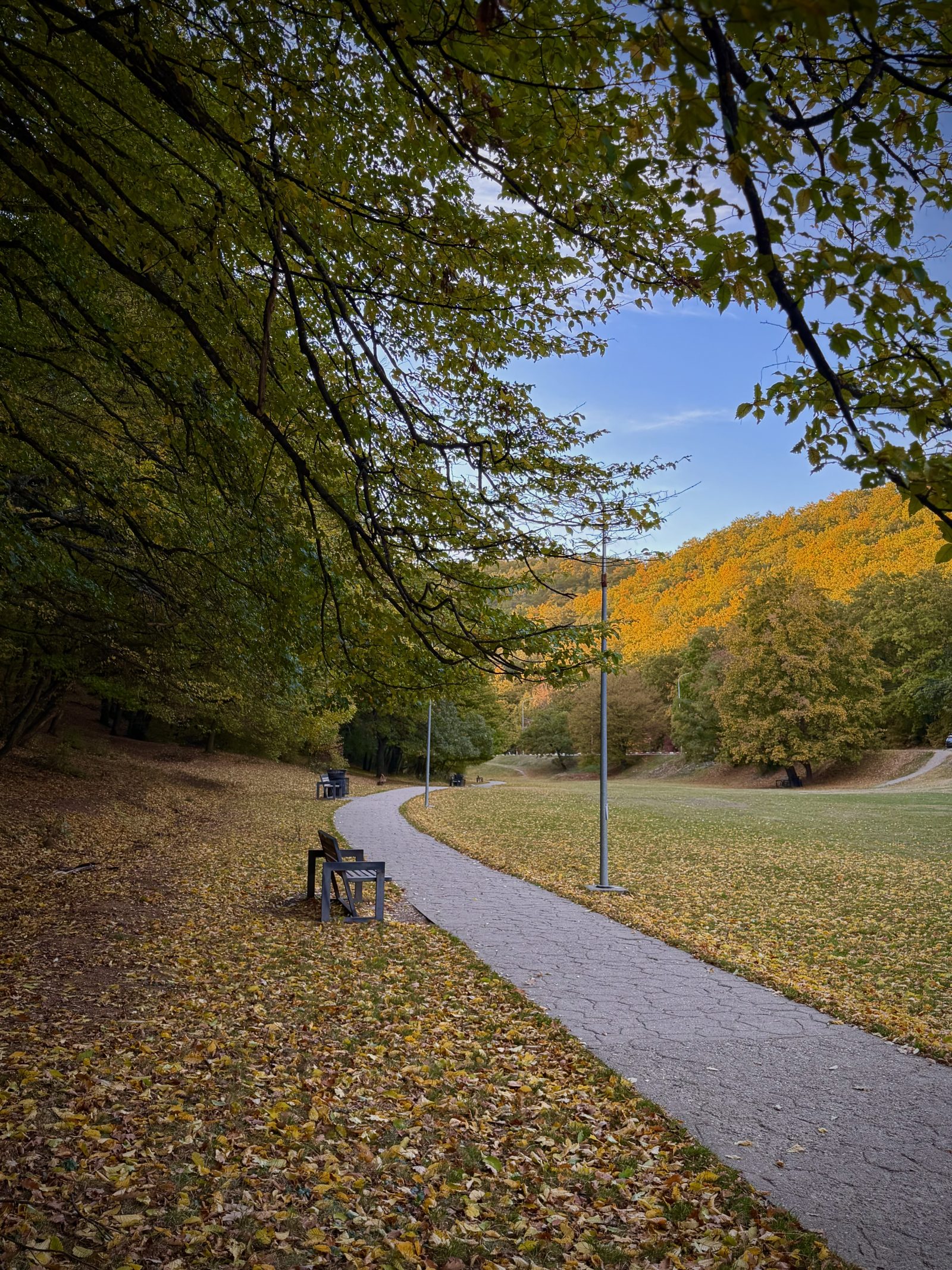 Autumn