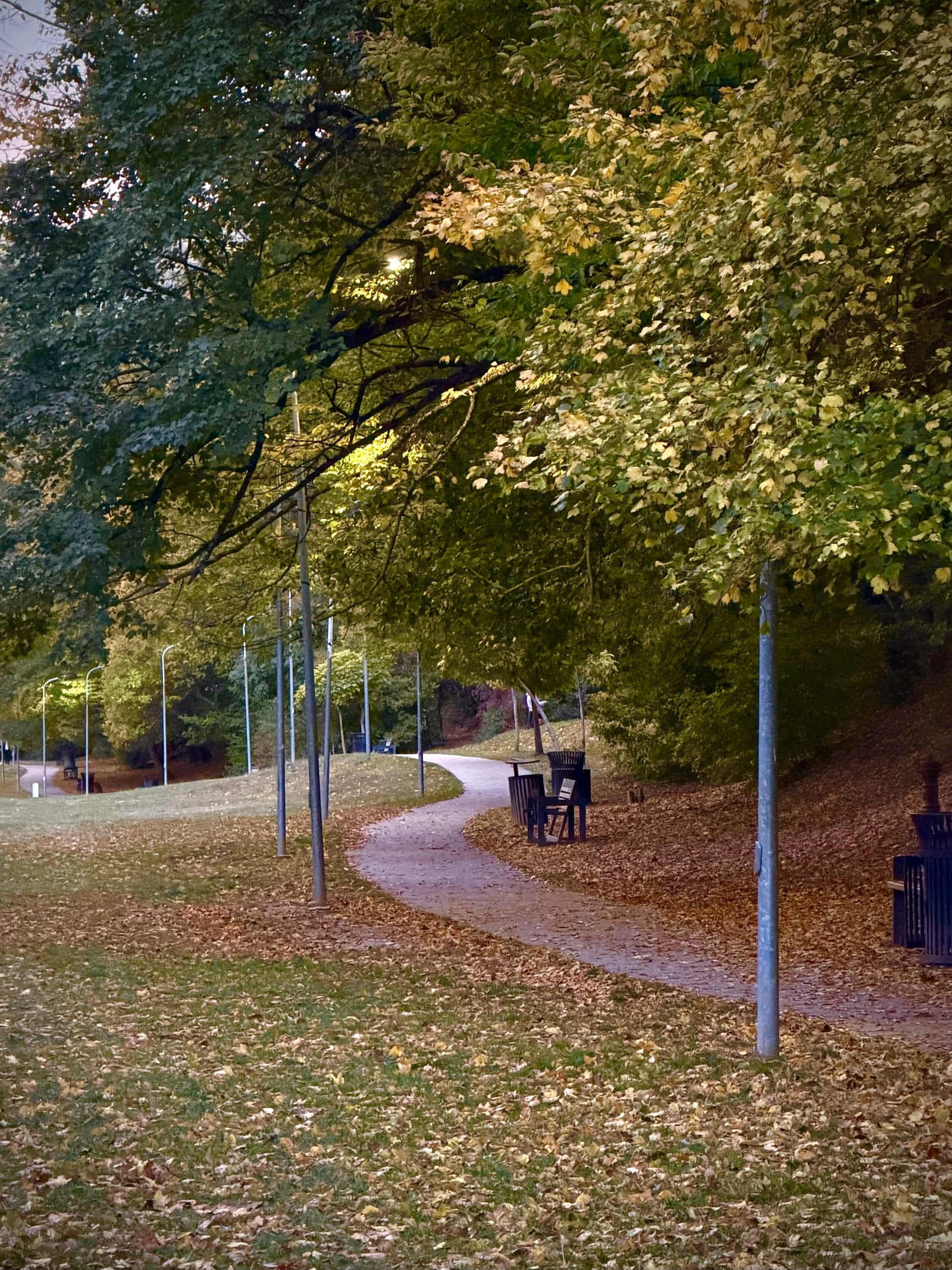 Autumn