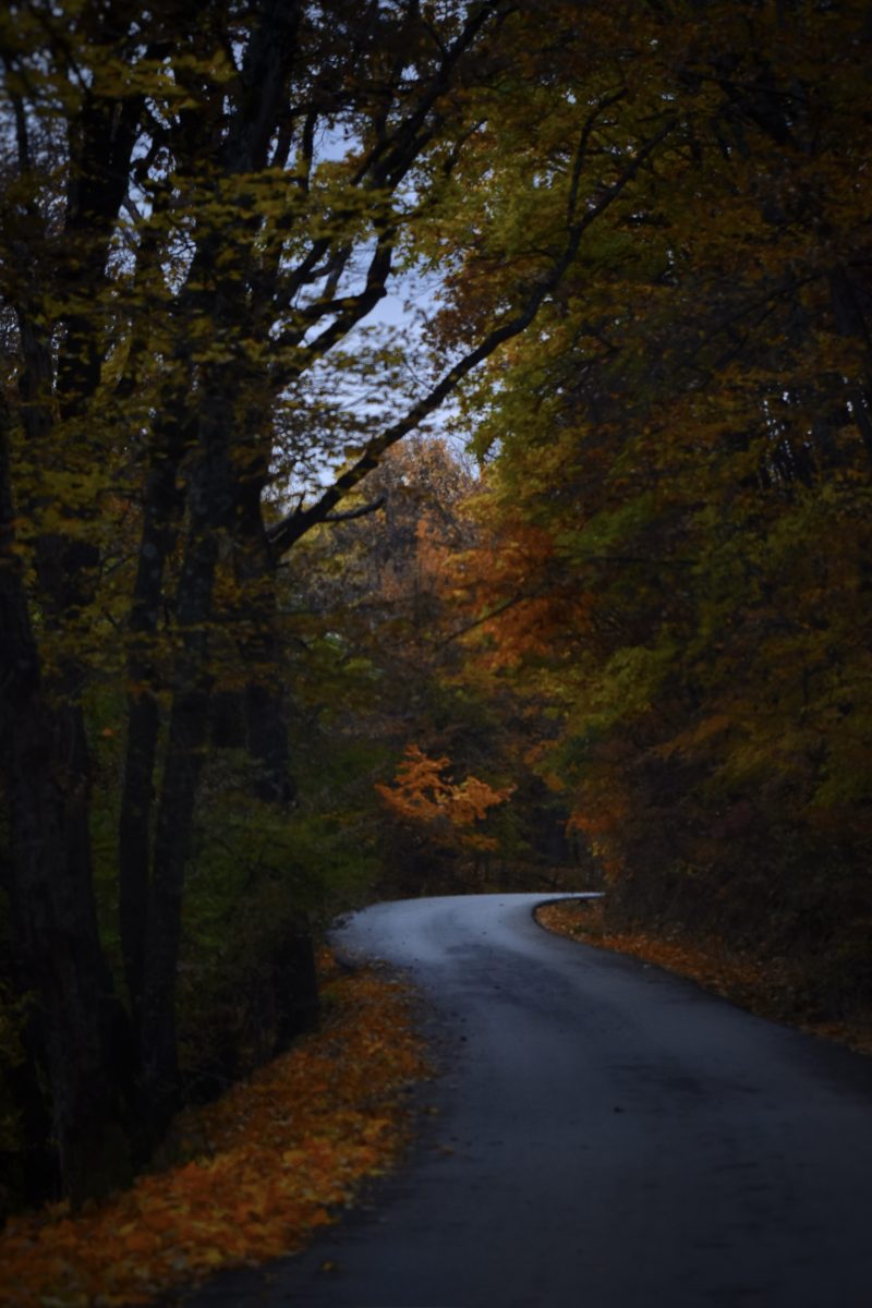 Autumn