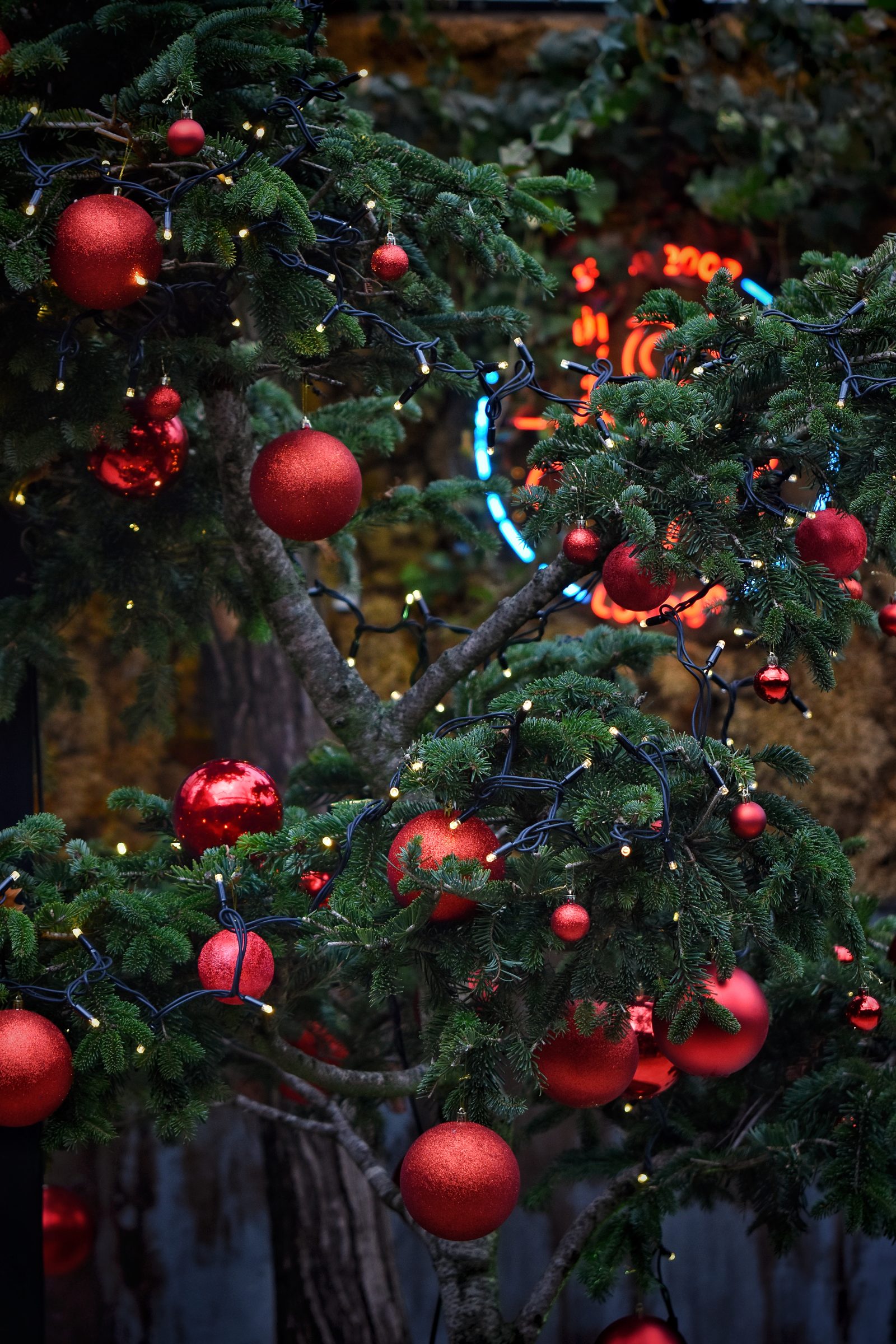 Christmas Tree with Red Ornaments