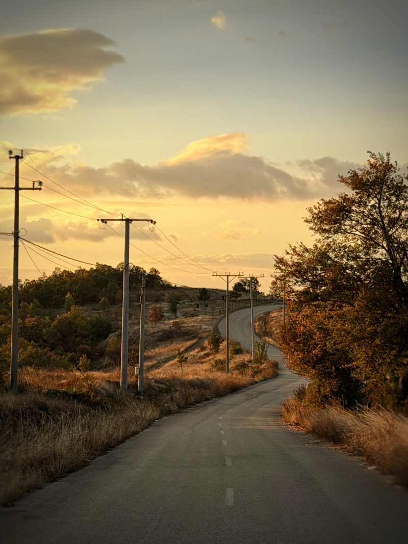 Golden Landscape
