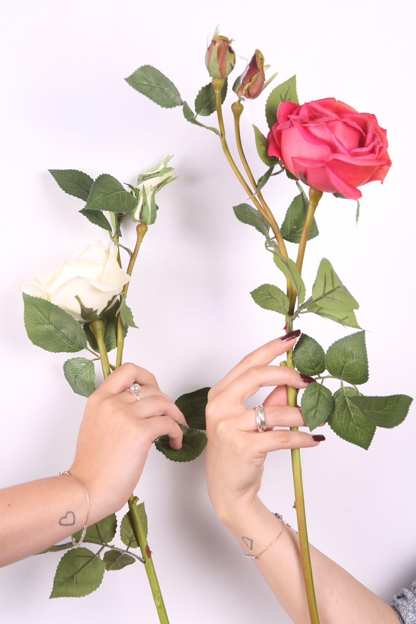 Hands Holding a Red and a White Rose