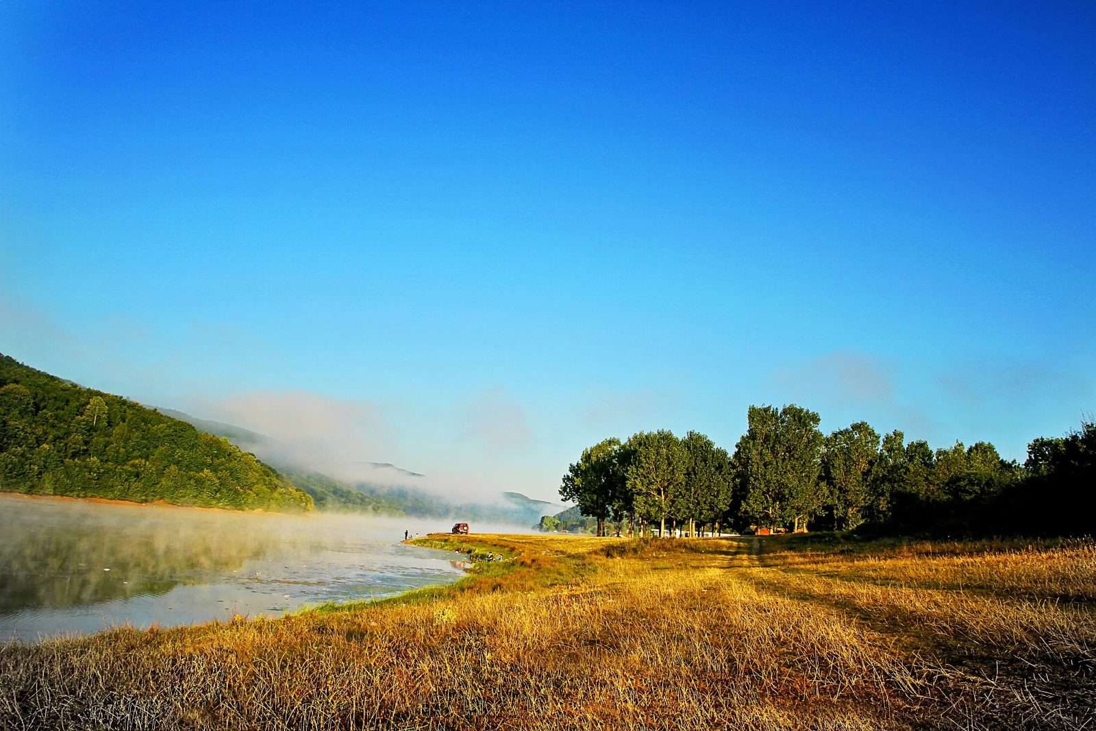 Morning Mist Over a Golden Field and River