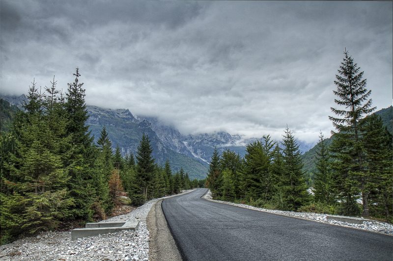 Mountain Road Through a Pine Forest