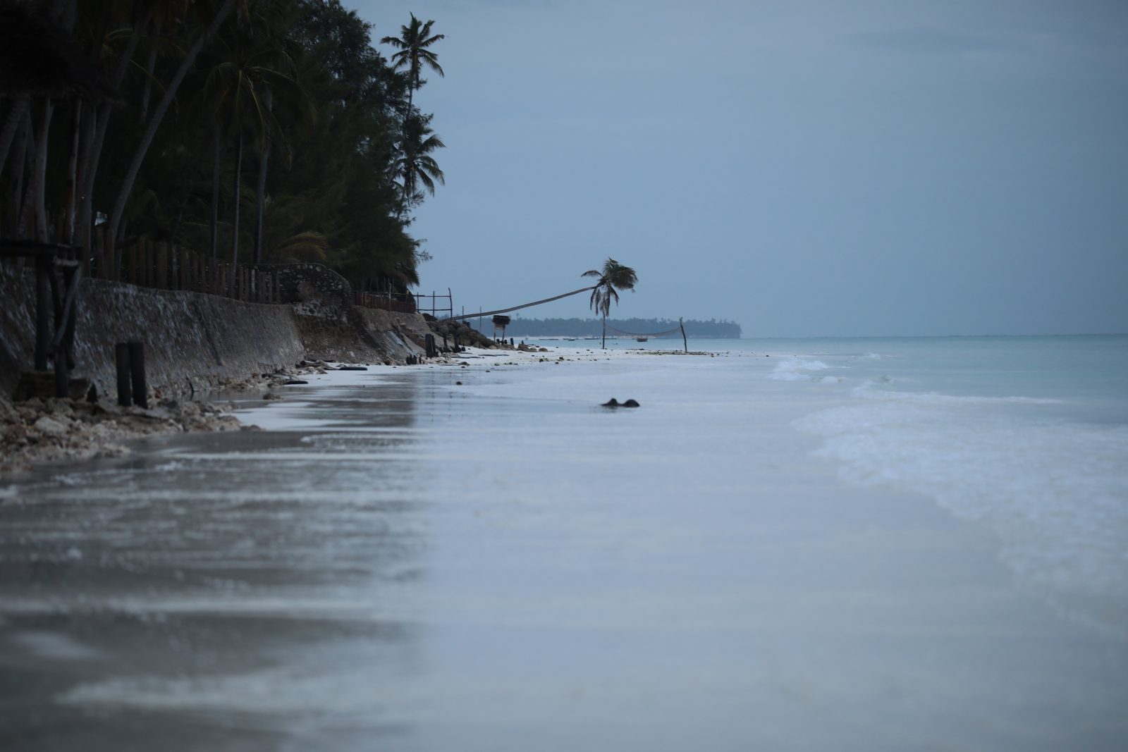 Palm-Lined Shore on a Grey Morning