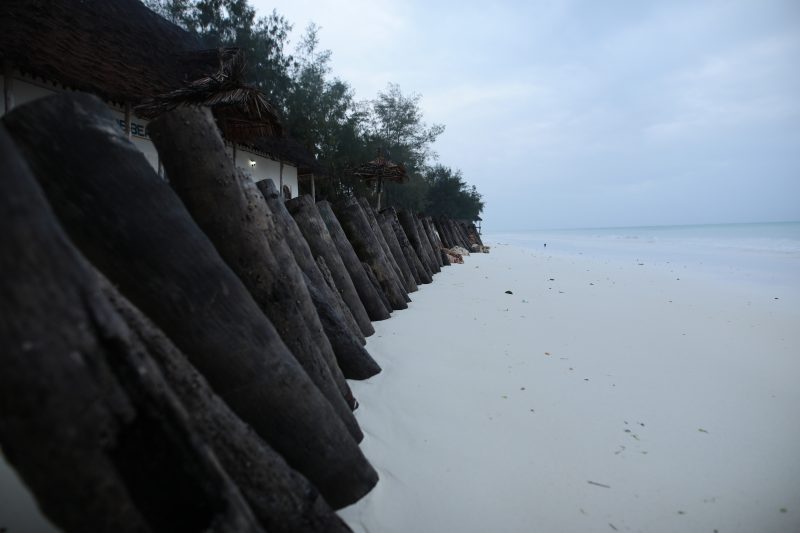 Palm Log Seawall on a White Sand Beach