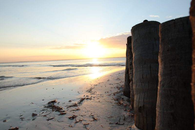 Sunset Beach Behind a Palm Log Seawall