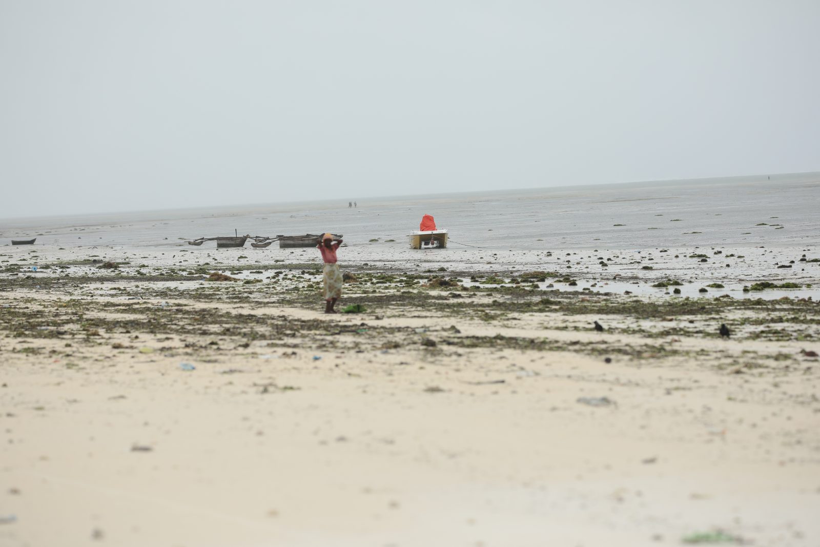 Walking the Beach at Low Tide