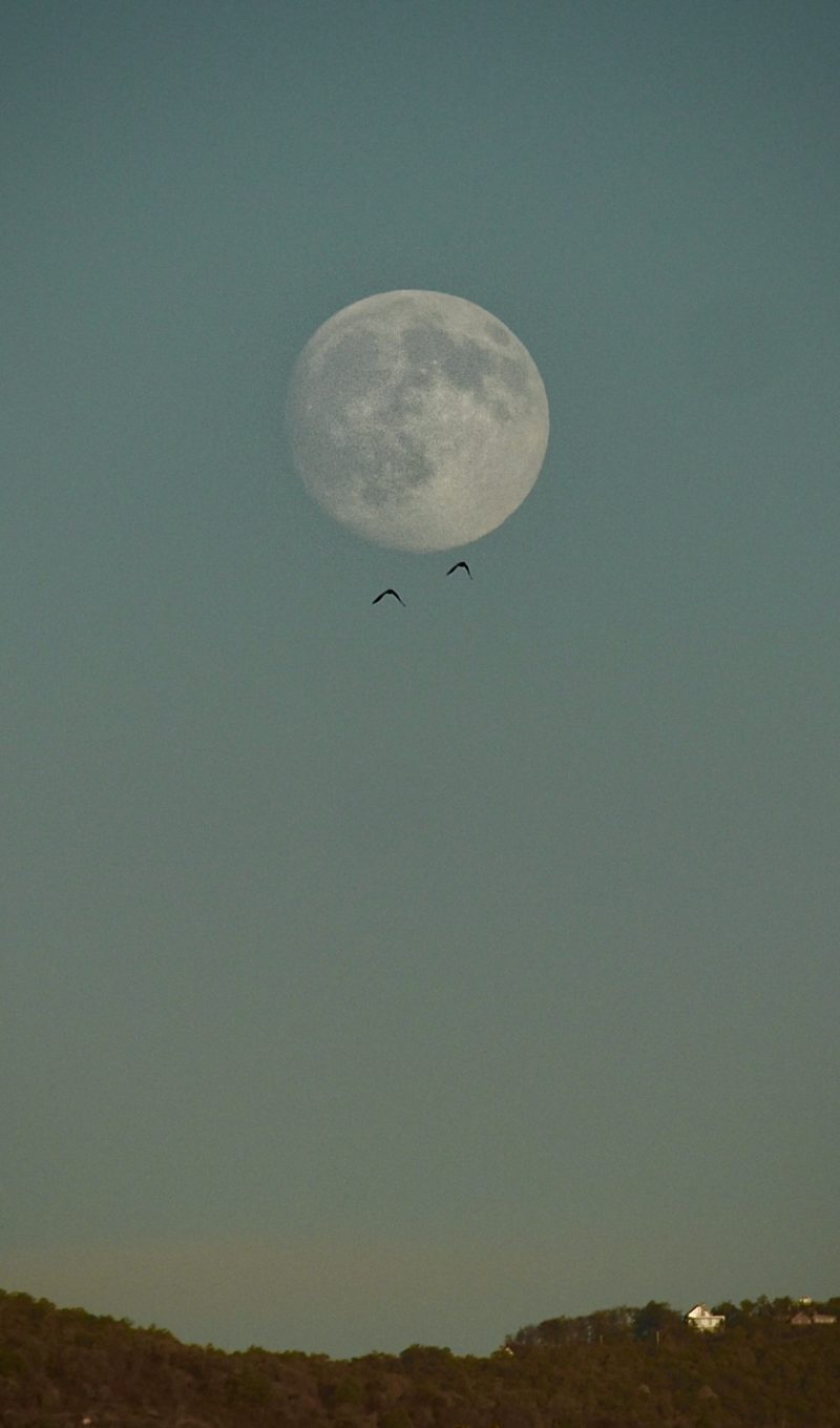Moon