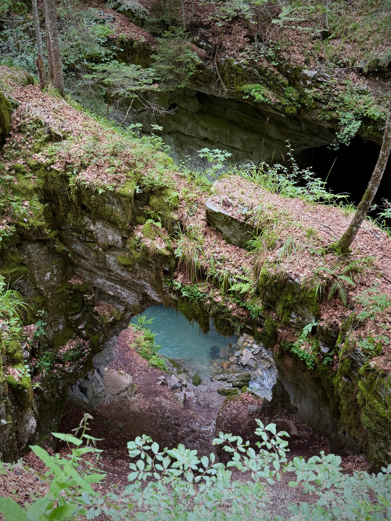 Mossy Rock Arch in a Forest Gorge