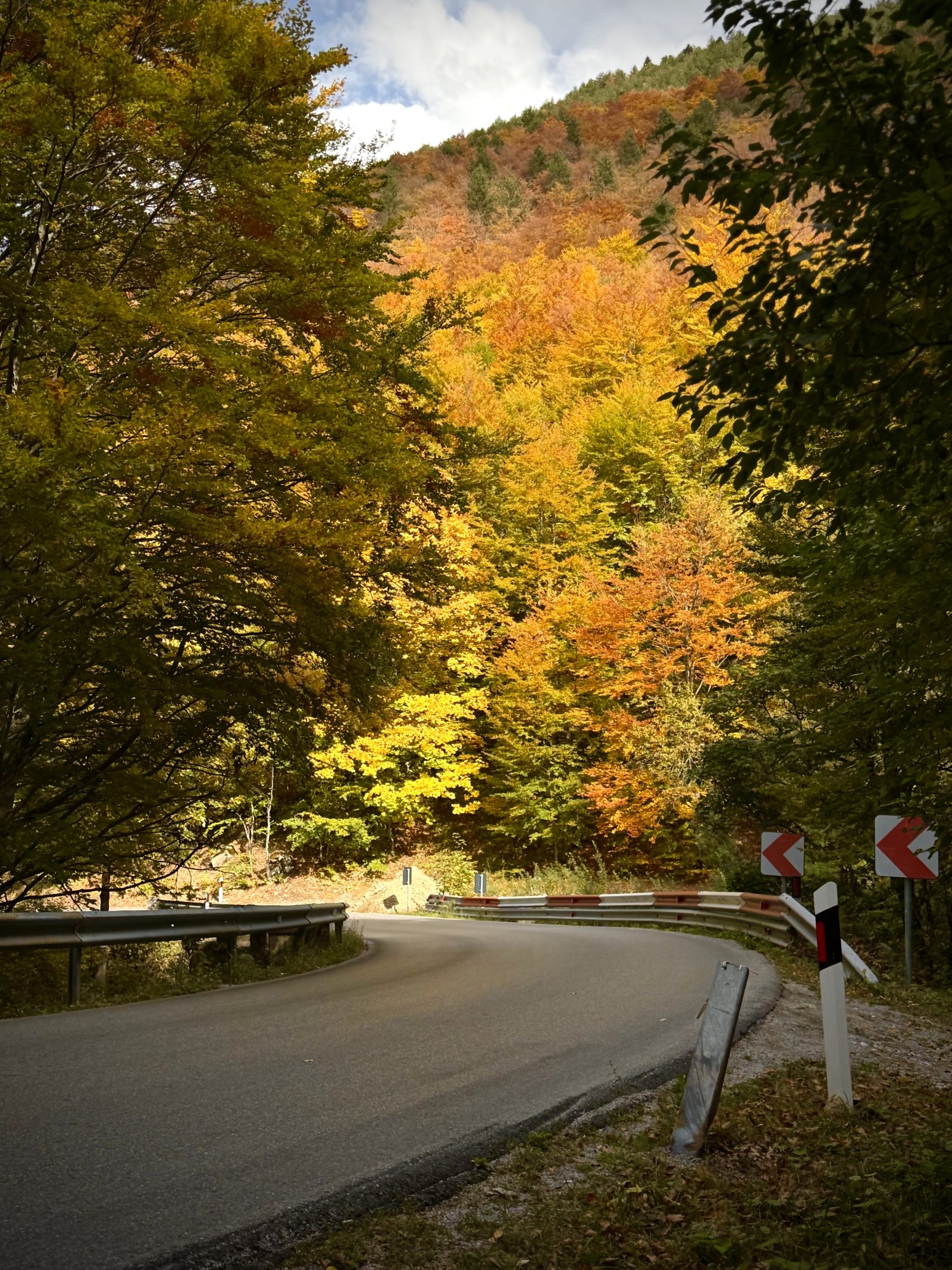 Mountain Road Curving Through Autumn Trees