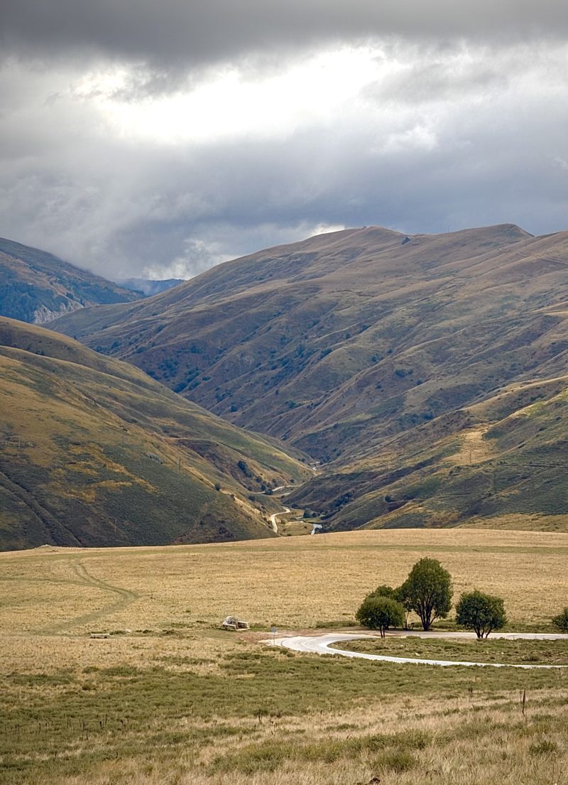 Mountain Valley with Lone Trees Under Grey Clouds