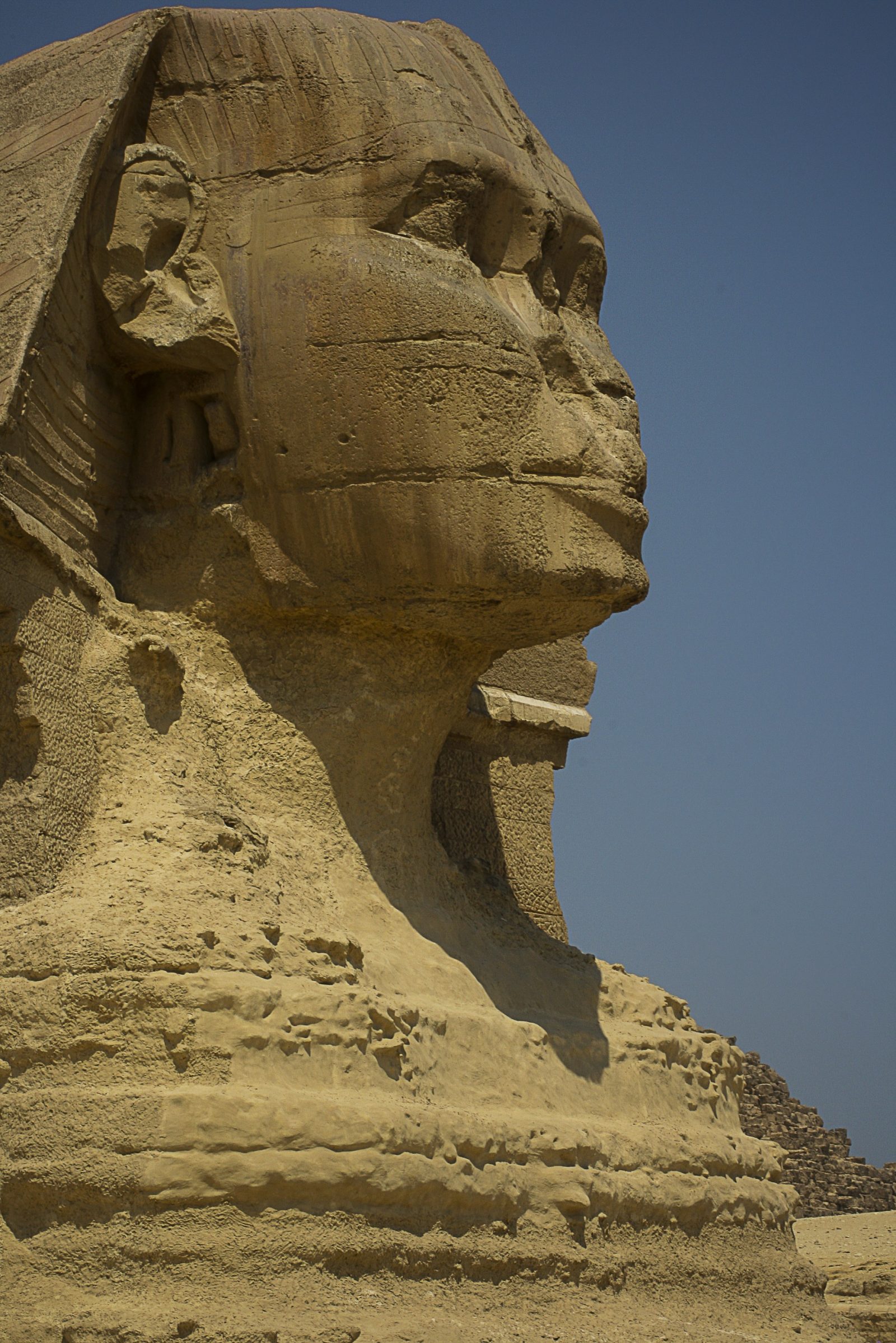 Profile of the Great Sphinx of Giza
