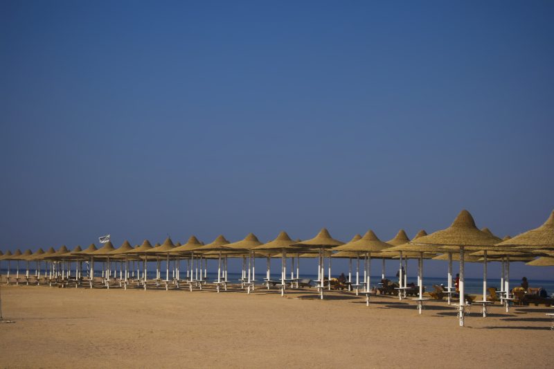 Rows of Straw Umbrellas on an Egyptian Beach