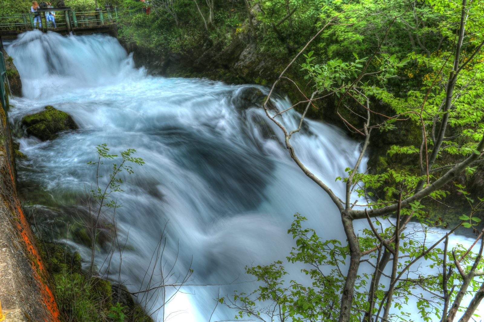 Rushing Waterfall in a Green Forest