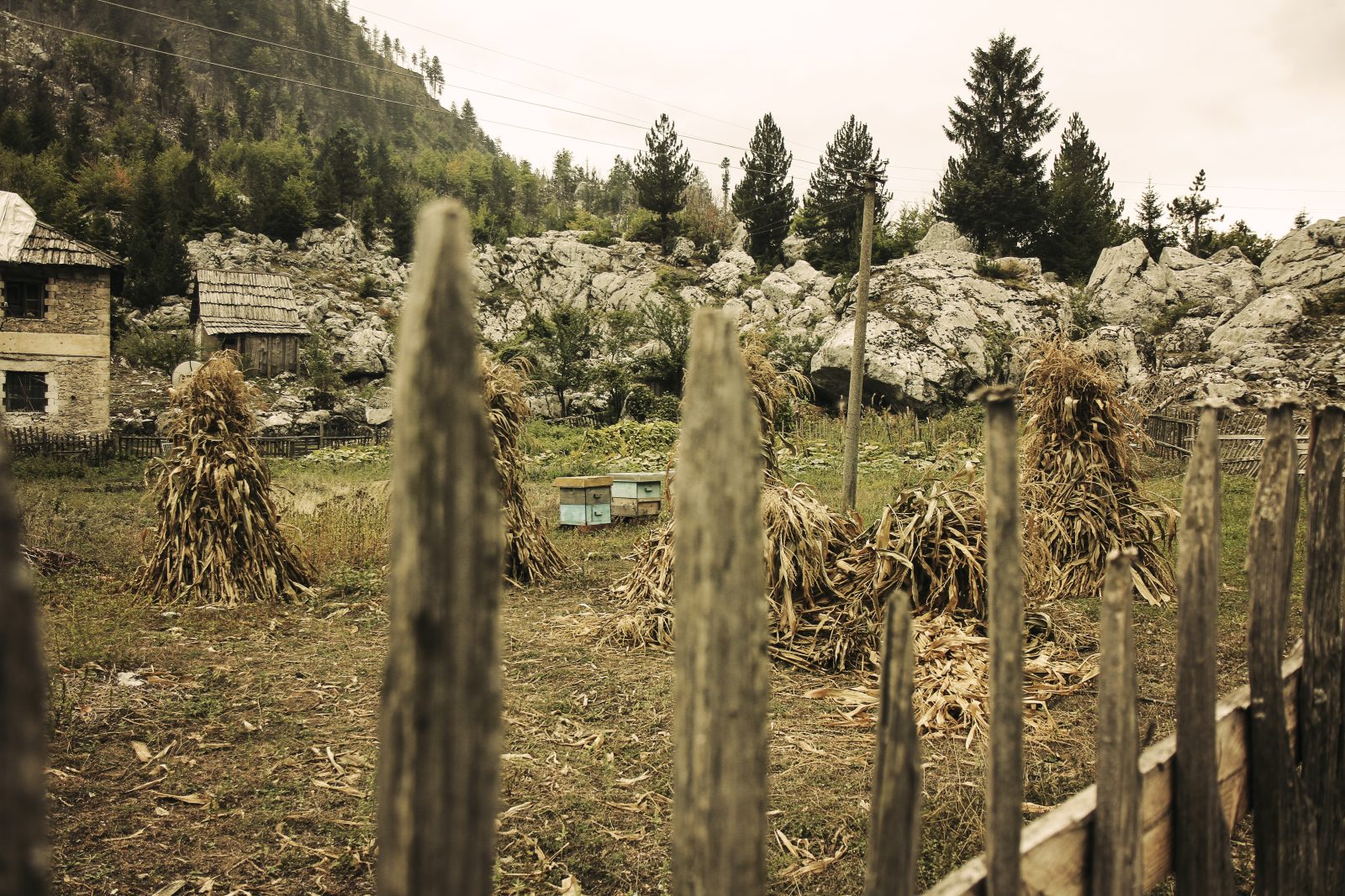 Wooden Fence and Haystacks in Valbona