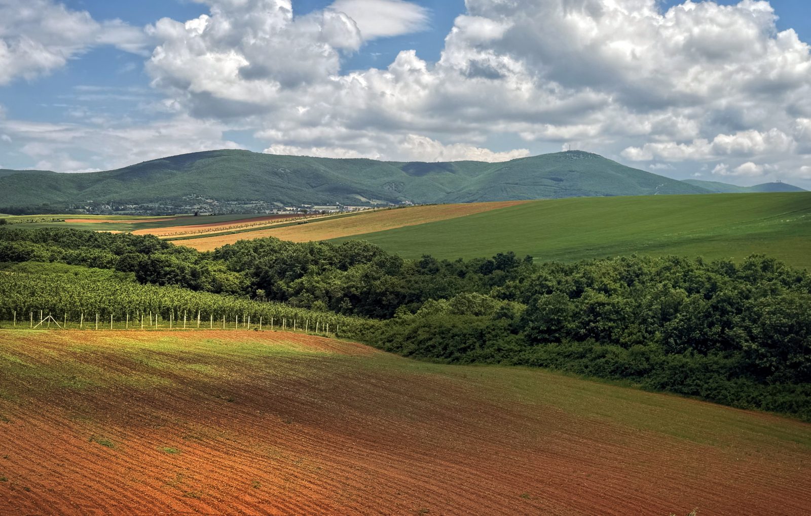 Plowed Field and Rolling Green Hills Under Clouds
