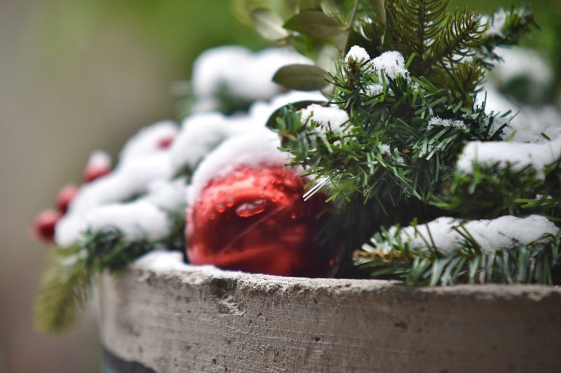 Red Ornament on a Snowy Pine Branch