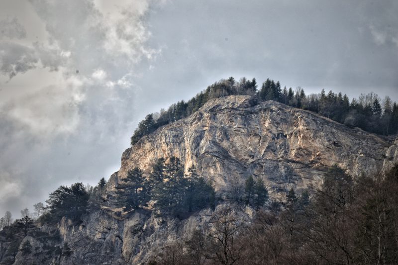 Rocky Cliff Topped with Pine Trees