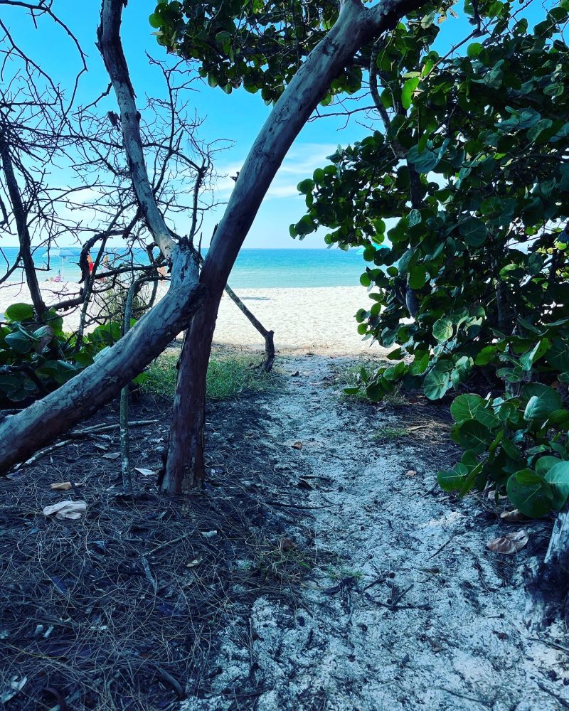 Sandy Path Through Trees to Naples Beach