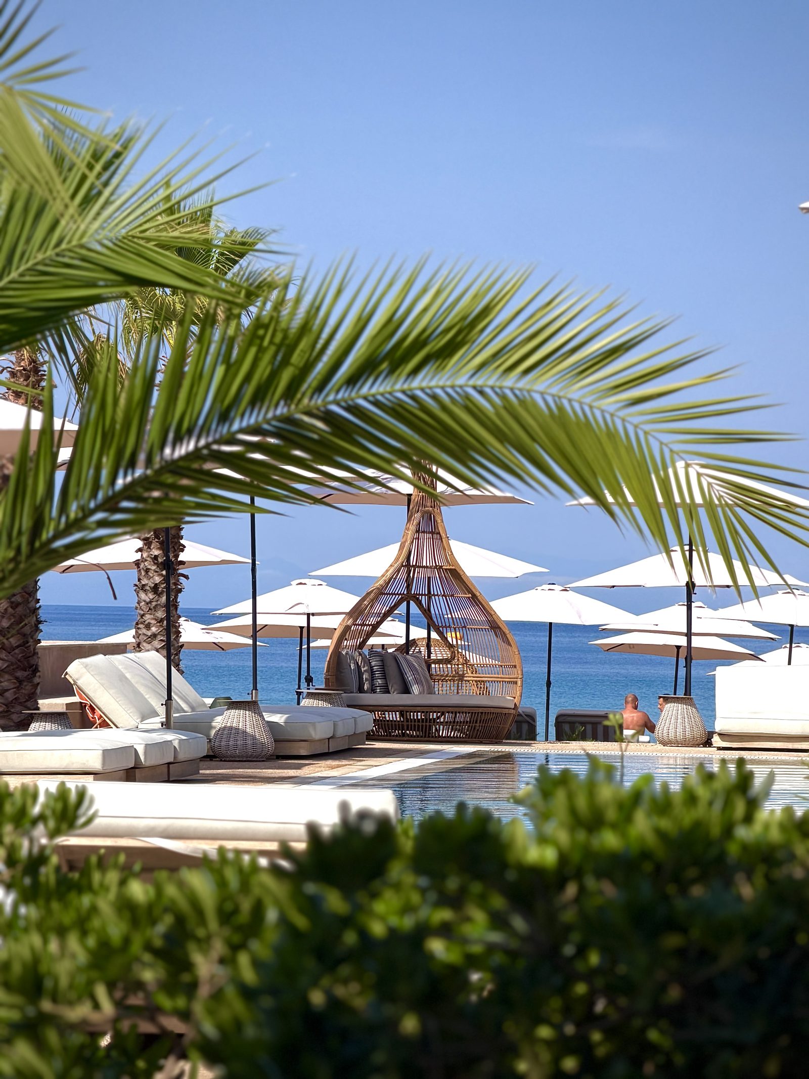 Seaside Resort Terrace Under Palm Leaves