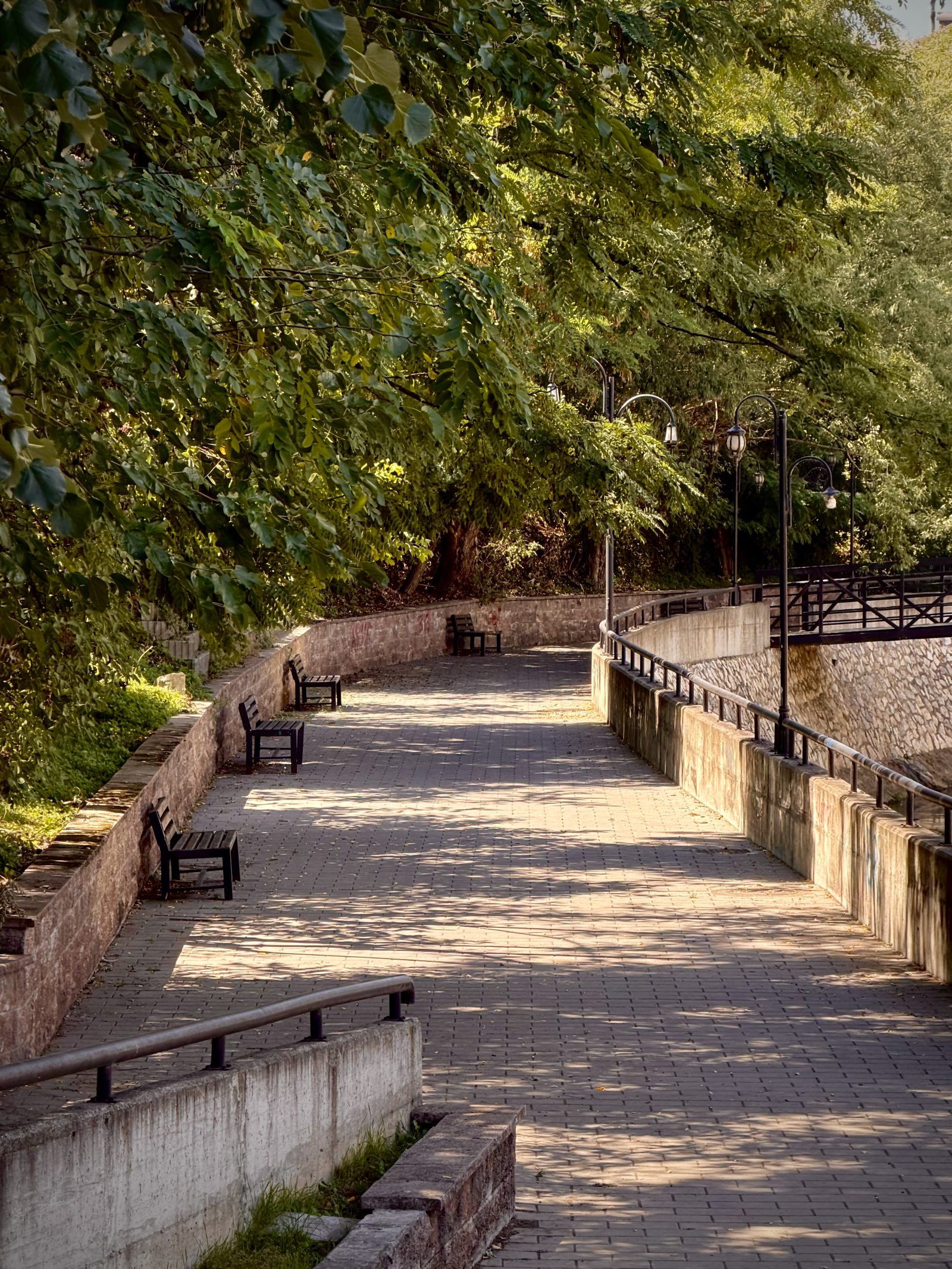 Shaded Park Walkway with Benches