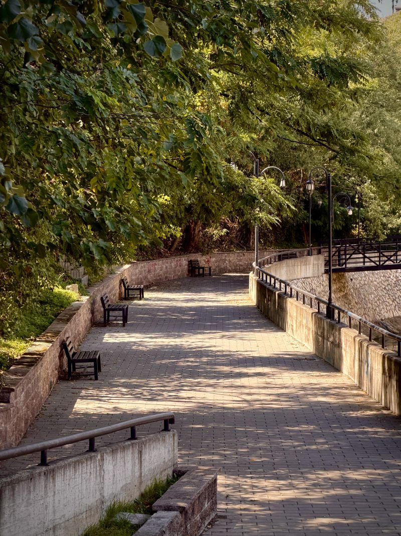 Shaded Park Walkway with Benches