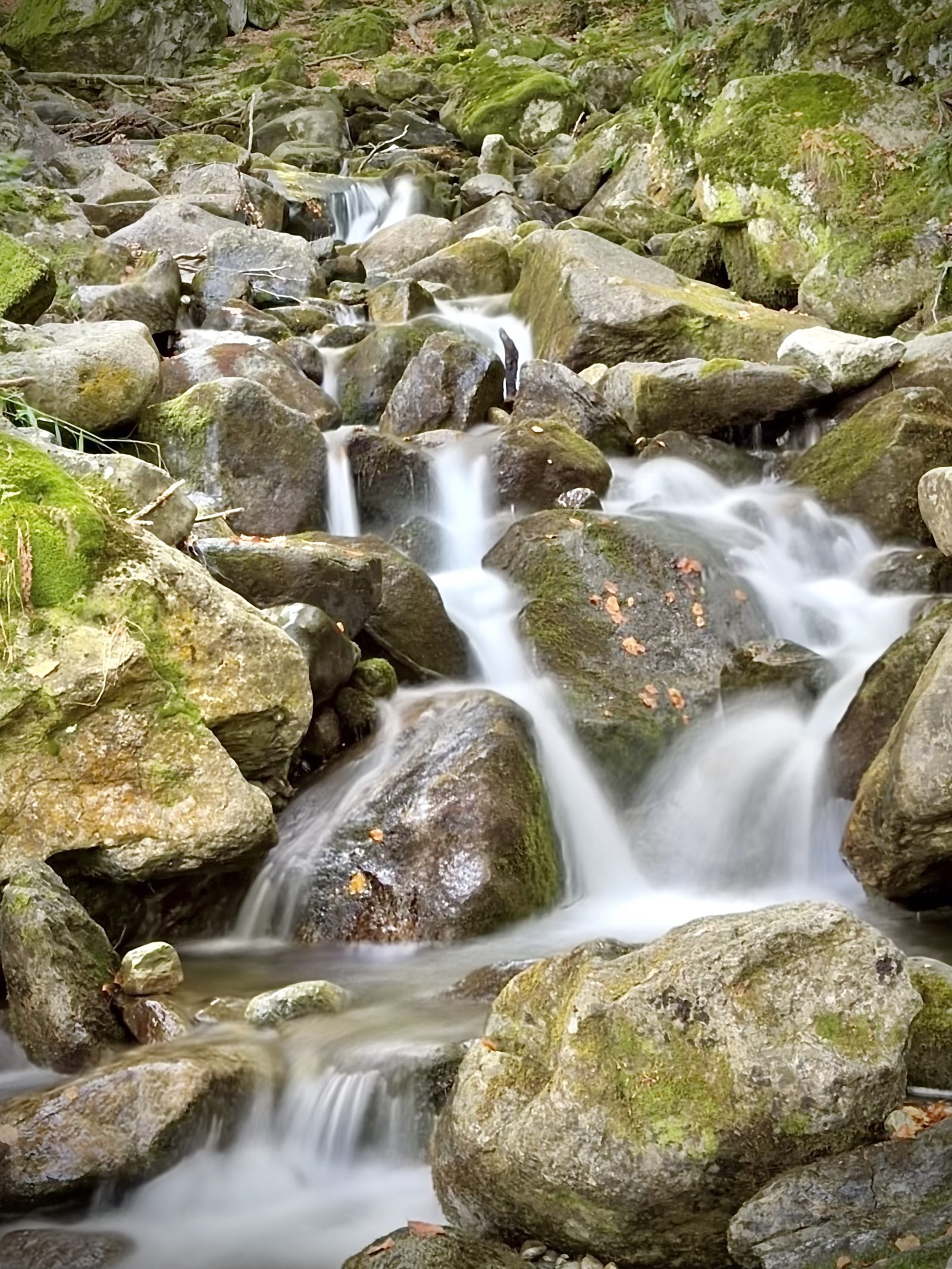 Small Waterfall Cascading Over Mossy Rocks